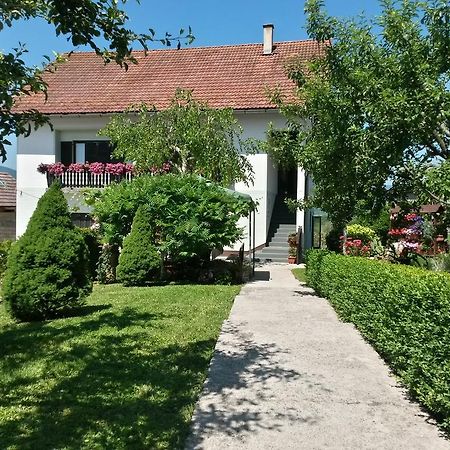 Guesthouse Pavlicic Drežnik Grad Exterior foto